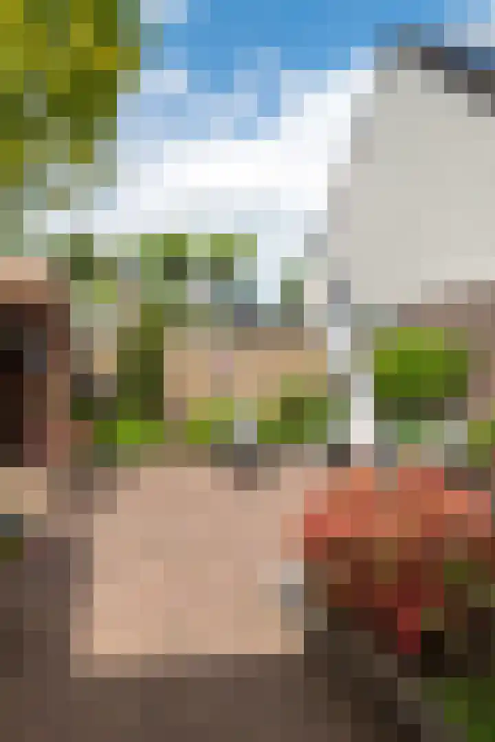 Pijlkruid 53 Nijverdal thumbnail 36