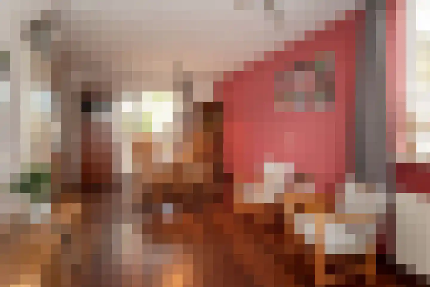 Pijlkruid 53 Nijverdal thumbnail 7