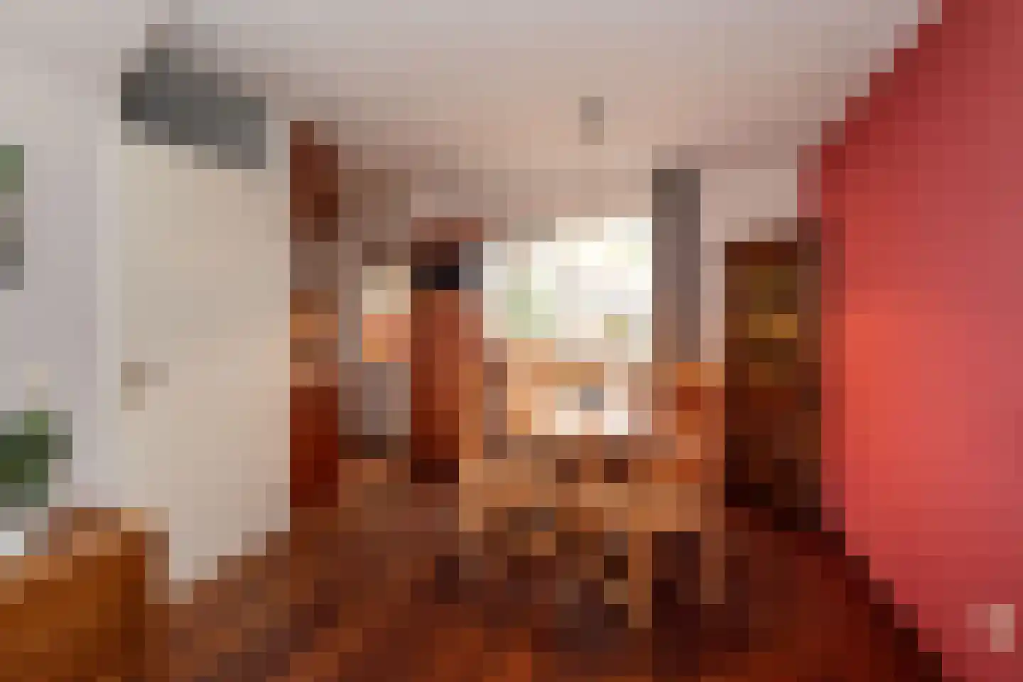Pijlkruid 53 Nijverdal thumbnail 8