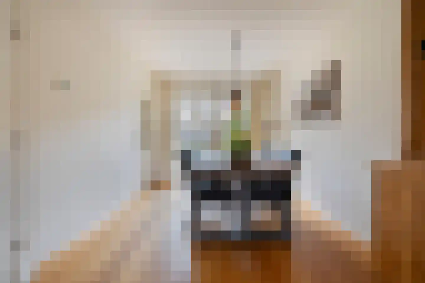 Pijlkruid 57 Nijverdal thumbnail 11