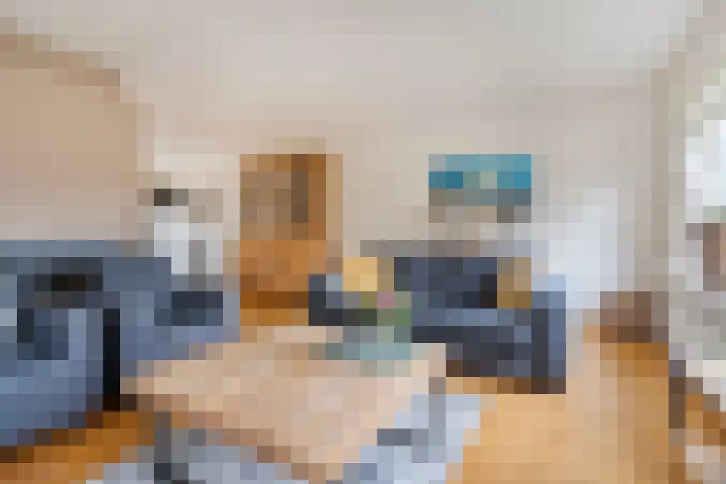 Pijlkruid 57 Nijverdal thumbnail 12
