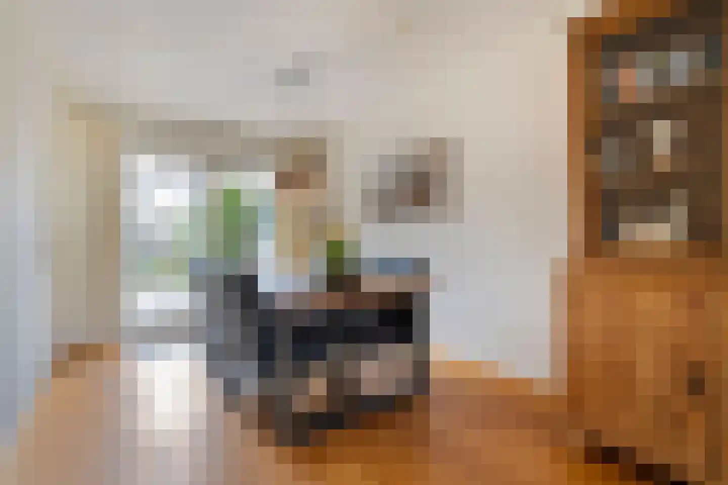 Pijlkruid 57 Nijverdal thumbnail 14