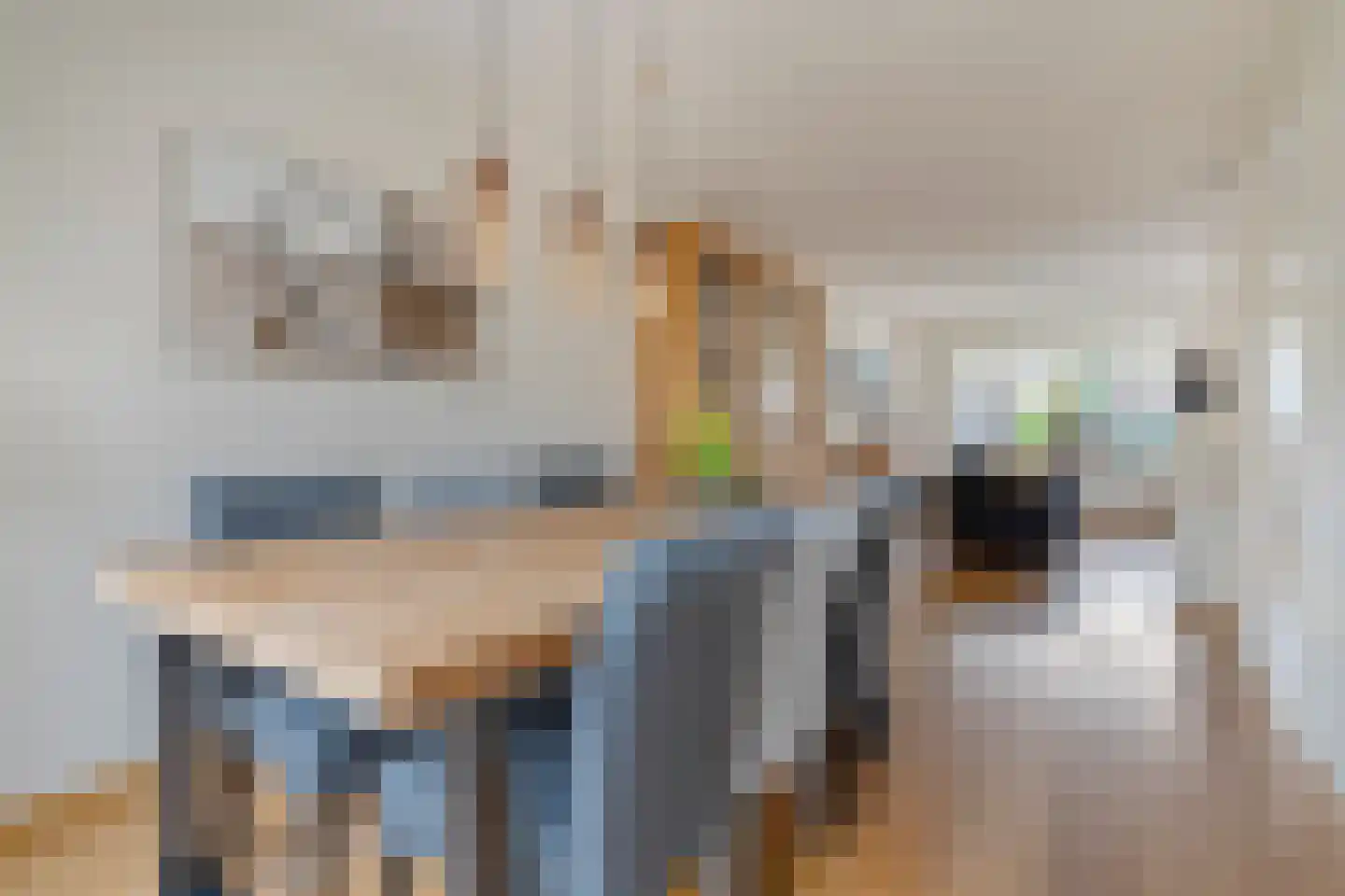 Pijlkruid 57 Nijverdal thumbnail 15