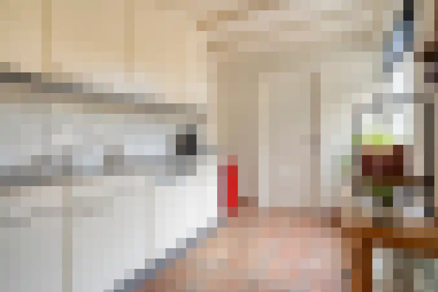 Pijlkruid 57 Nijverdal thumbnail 16