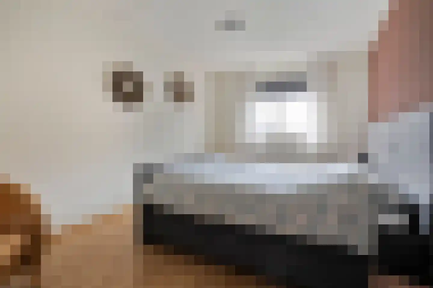 Pijlkruid 57 Nijverdal thumbnail 20