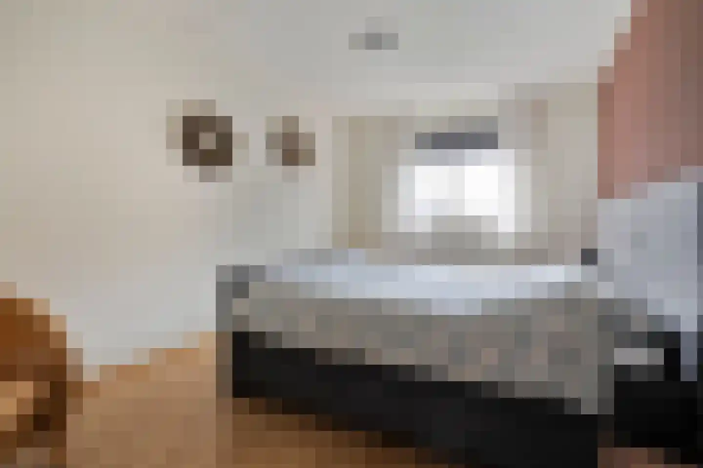 Pijlkruid 57 Nijverdal thumbnail 22