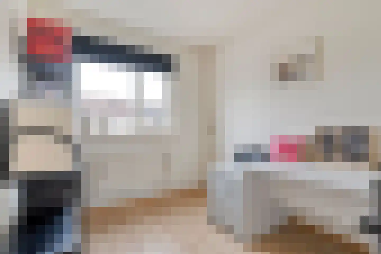Pijlkruid 57 Nijverdal thumbnail 24