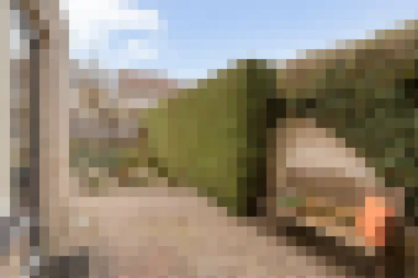 Pijlkruid 57 Nijverdal thumbnail 34