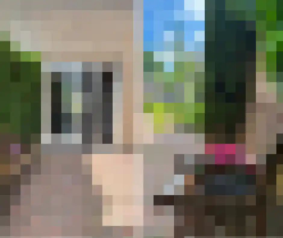 Pijlkruid 57 Nijverdal thumbnail 35
