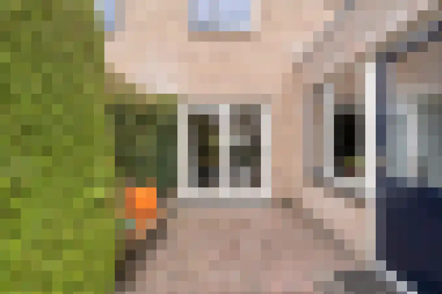 Pijlkruid 57 Nijverdal thumbnail 35