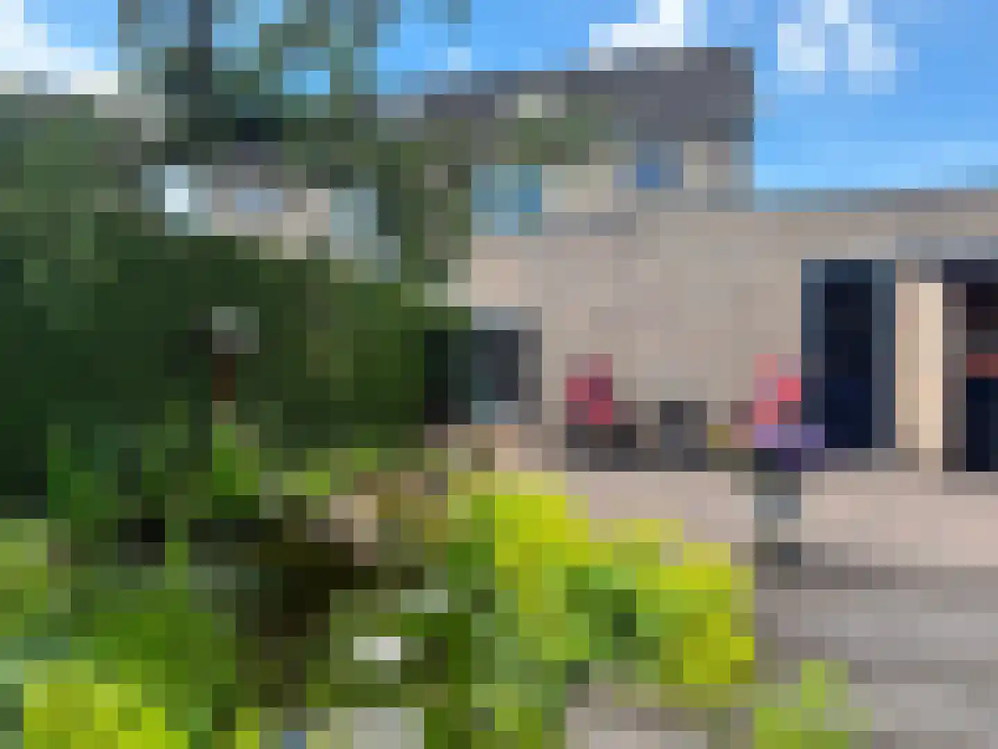 Pijlkruid 57 Nijverdal thumbnail 36