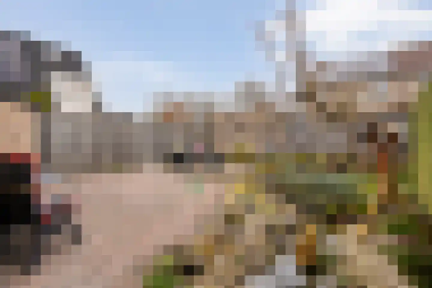 Pijlkruid 57 Nijverdal thumbnail 36