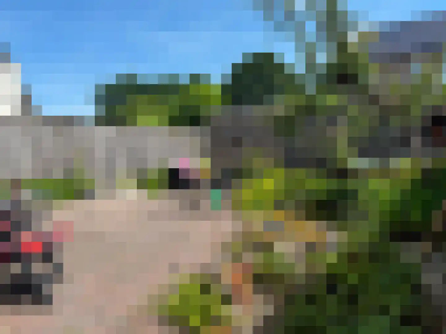 Pijlkruid 57 Nijverdal thumbnail 37