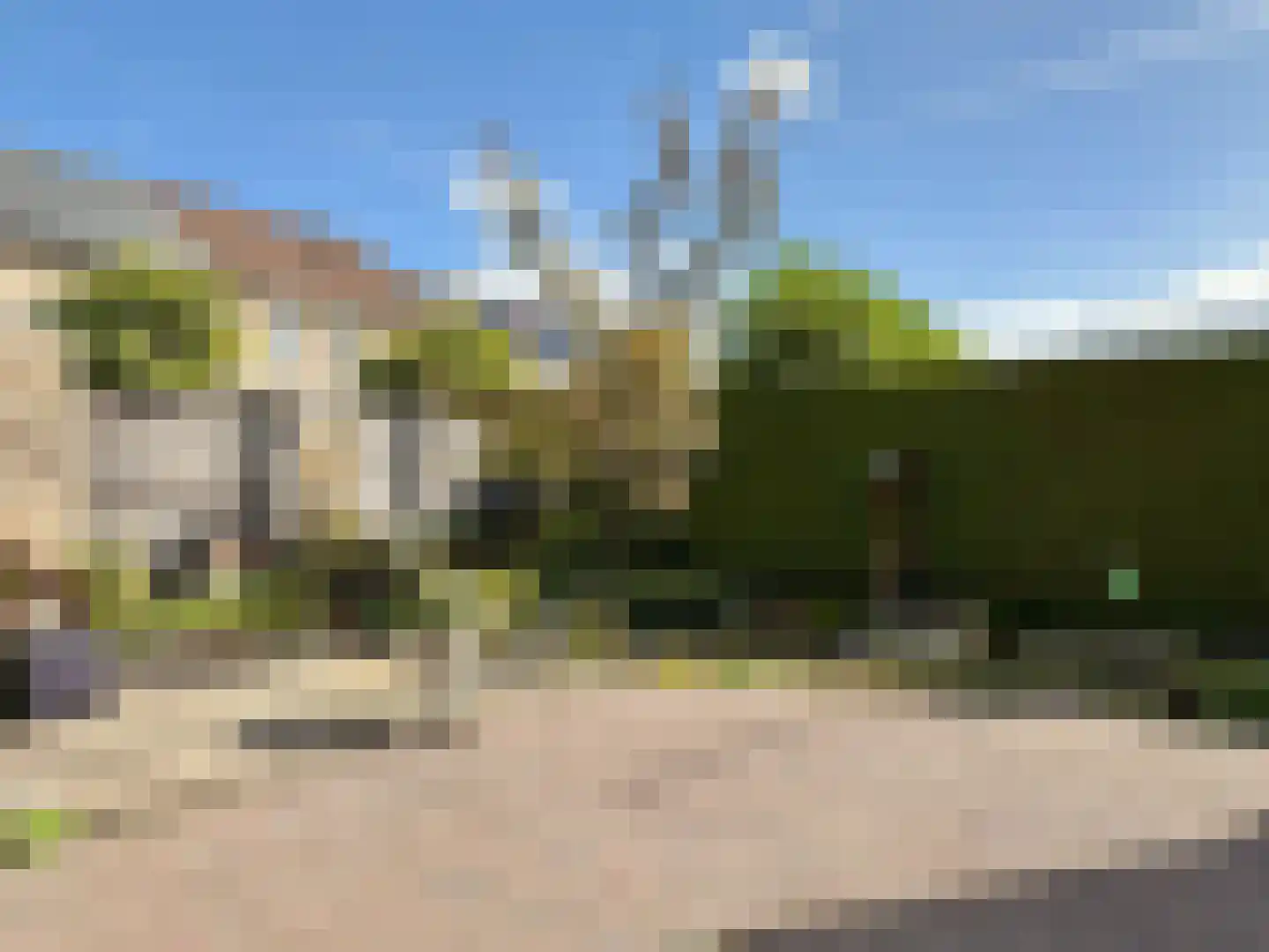 Pijlkruid 57 Nijverdal thumbnail 37