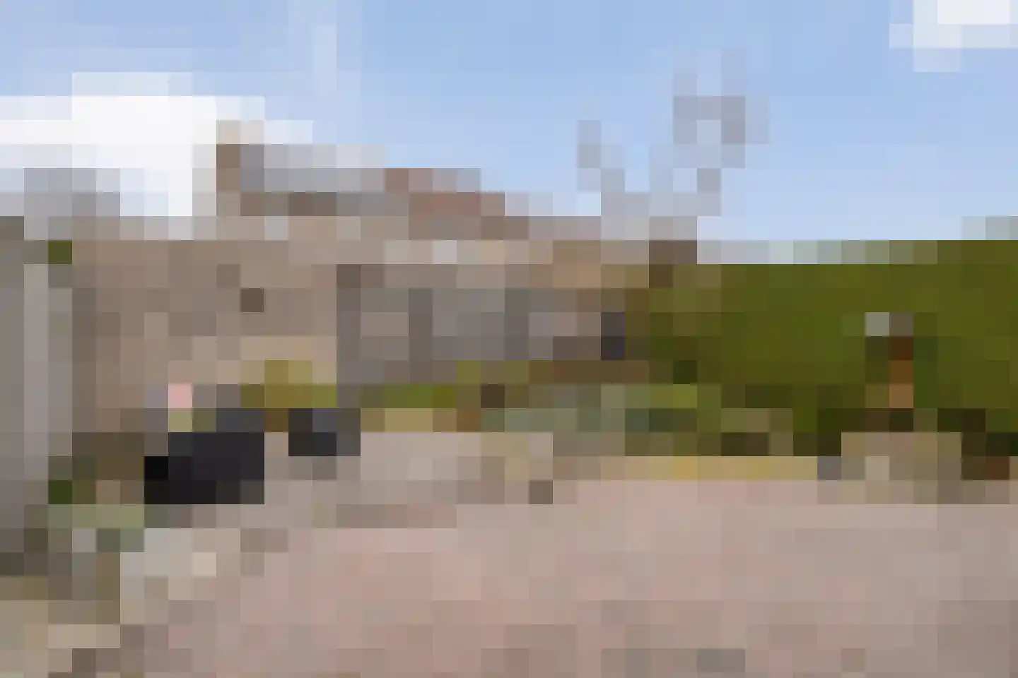 Pijlkruid 57 Nijverdal thumbnail 37