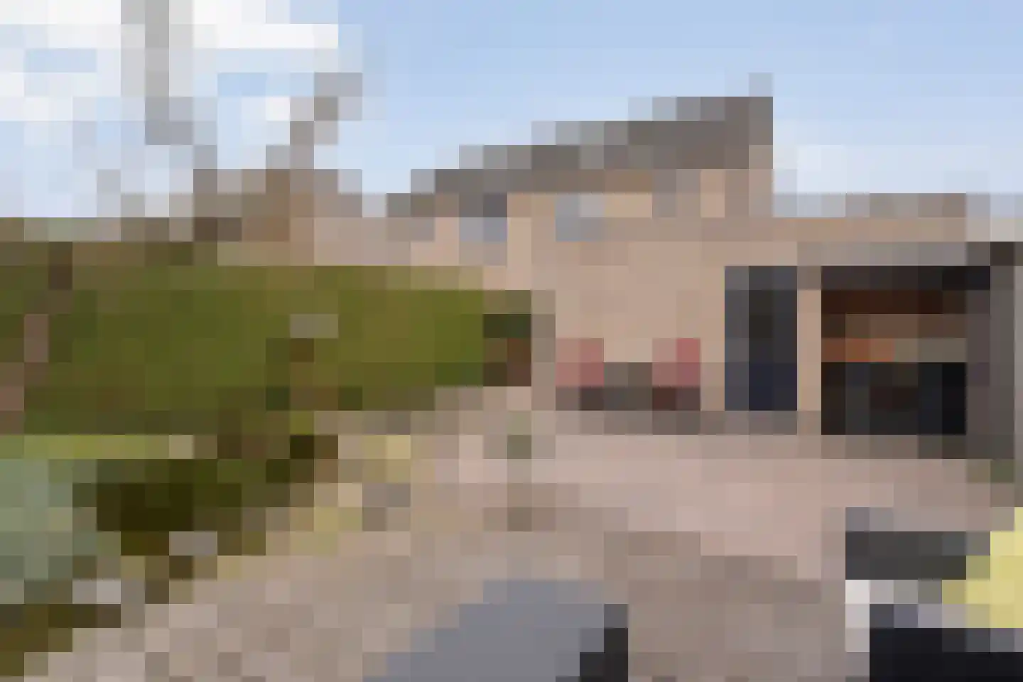 Pijlkruid 57 Nijverdal thumbnail 38