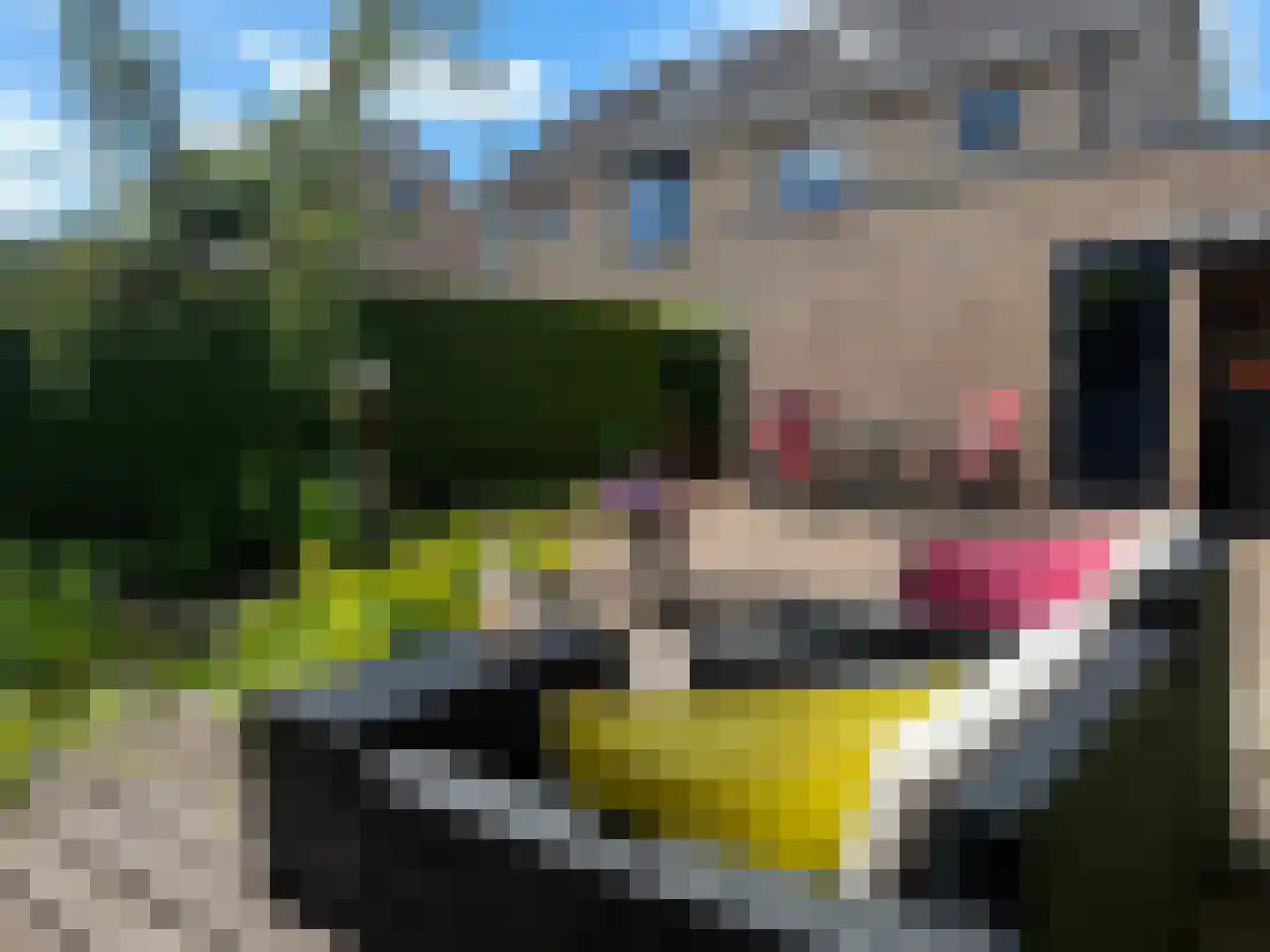 Pijlkruid 57 Nijverdal thumbnail 38