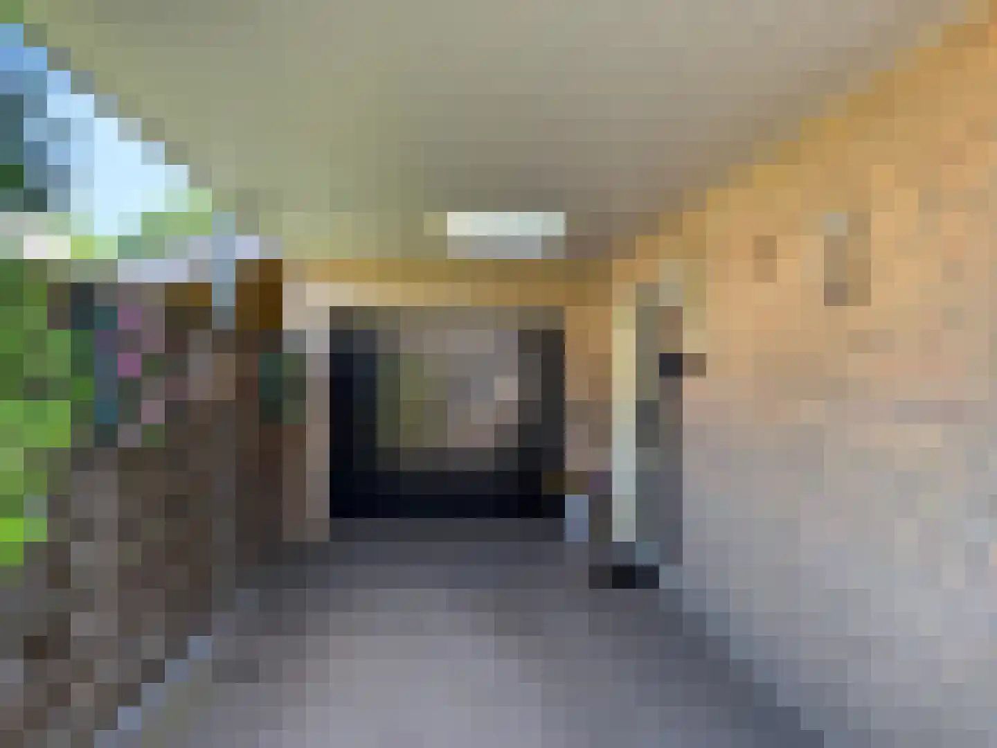 Pijlkruid 57 Nijverdal thumbnail 39