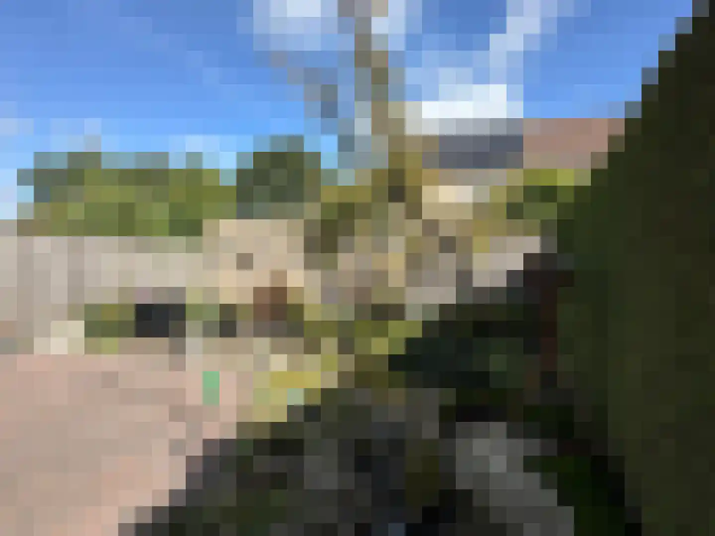 Pijlkruid 57 Nijverdal thumbnail 39