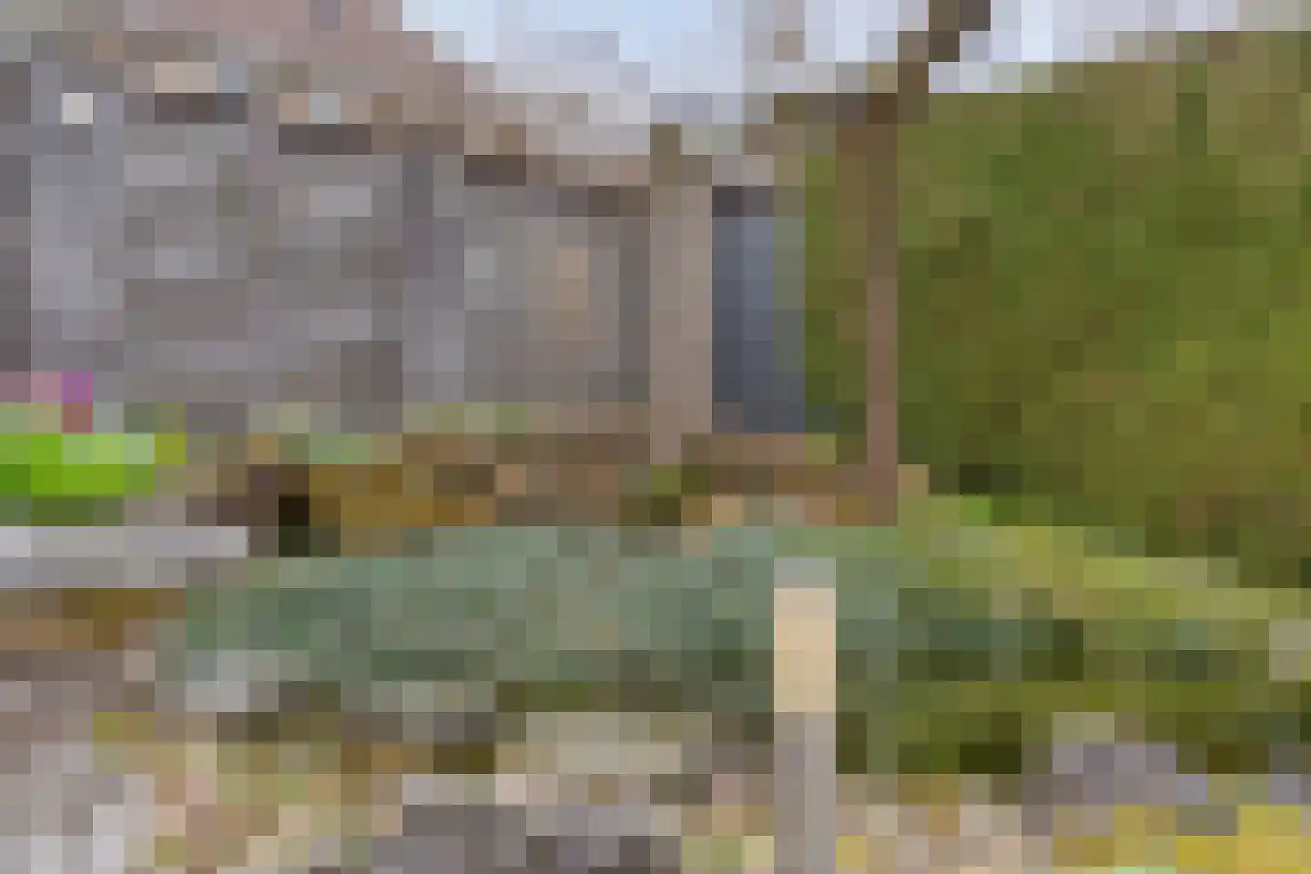 Pijlkruid 57 Nijverdal thumbnail 39