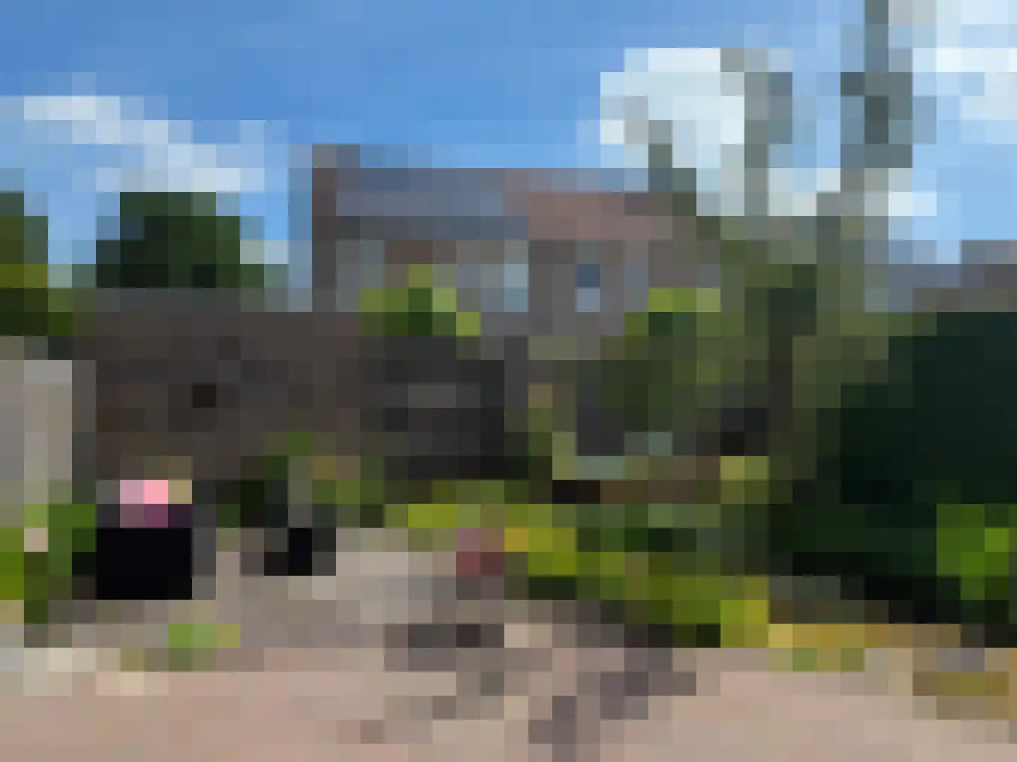 Pijlkruid 57 Nijverdal thumbnail 40