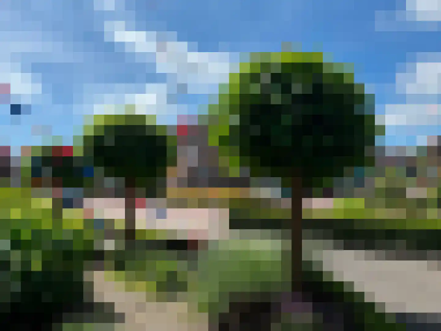 Pijlkruid 57 Nijverdal thumbnail 41