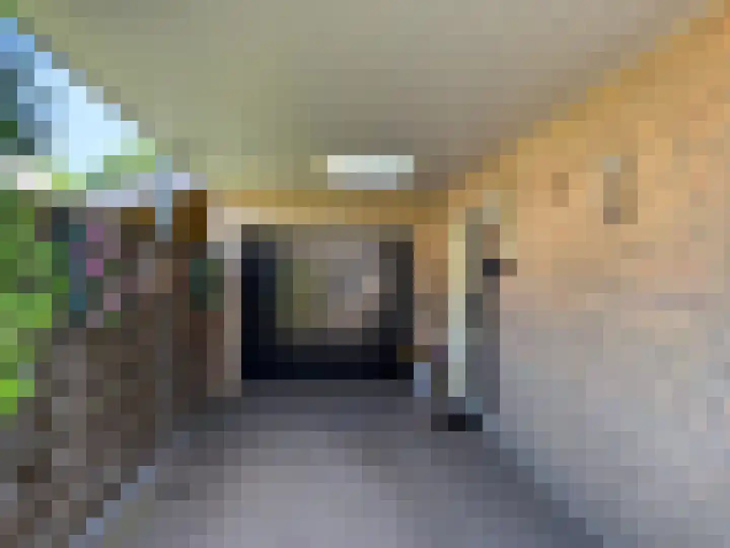 Pijlkruid 57 Nijverdal thumbnail 41