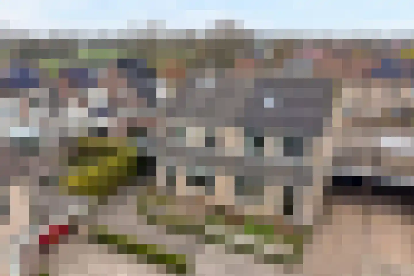 Pijlkruid 57 Nijverdal thumbnail 44