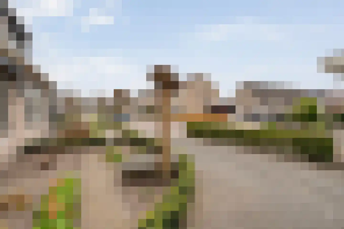 Pijlkruid 57 Nijverdal thumbnail 44
