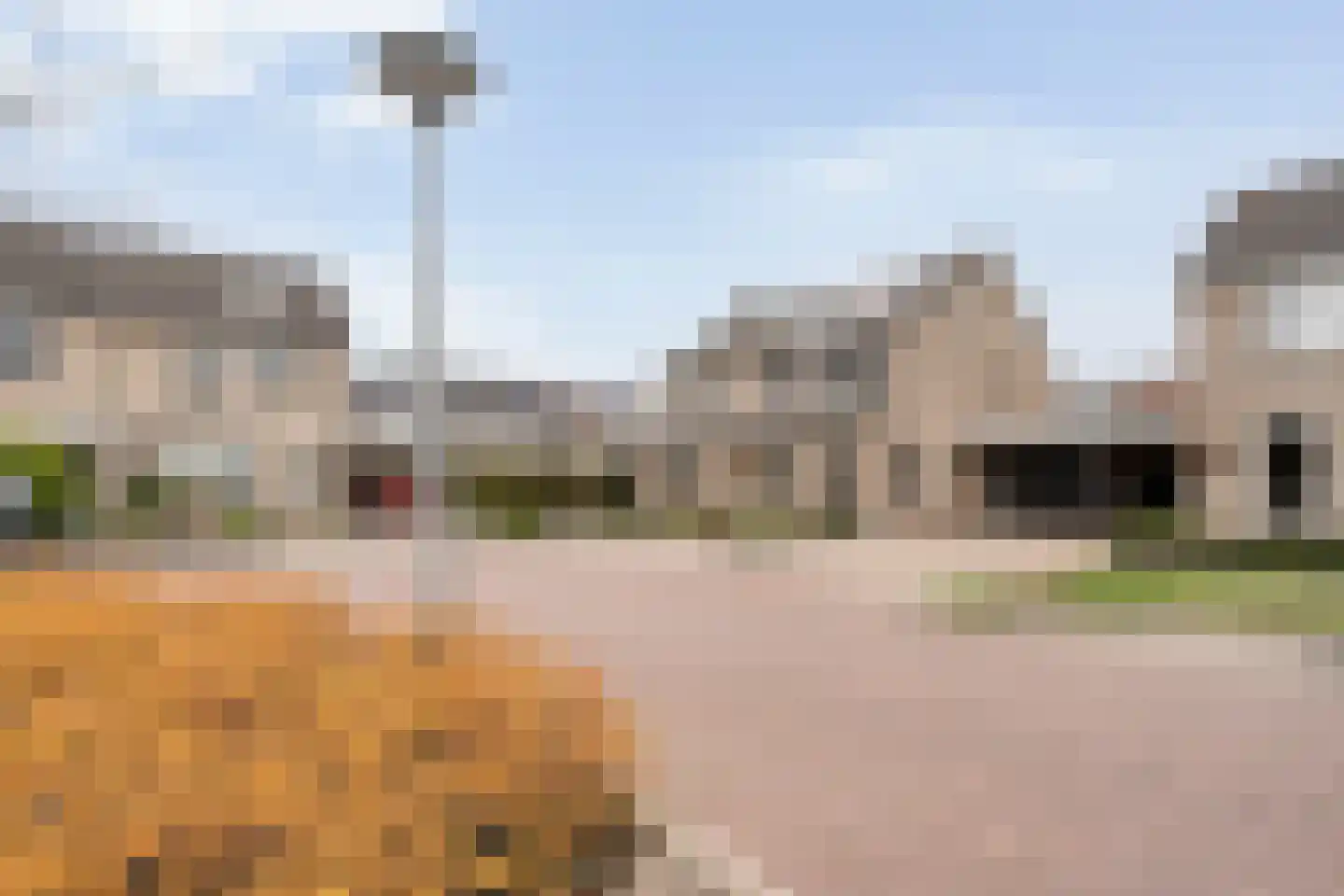 Pijlkruid 57 Nijverdal thumbnail 46