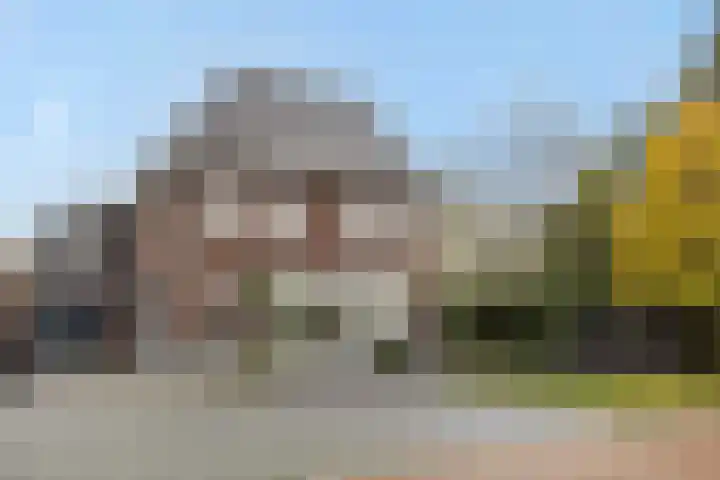 Pijlkruid 7 Berlicum