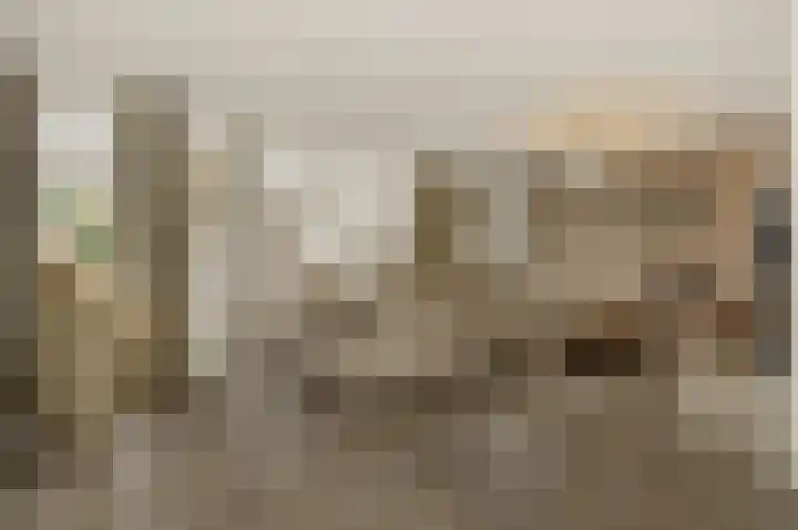 Pijlkruid 7 Berlicum thumbnail 10