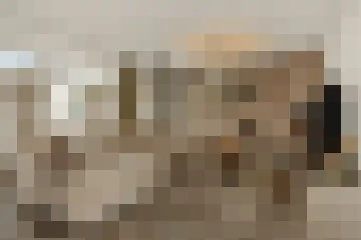 Pijlkruid 7 Berlicum thumbnail 11