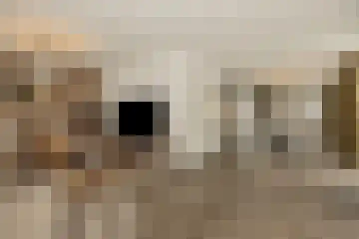Pijlkruid 7 Berlicum thumbnail 12