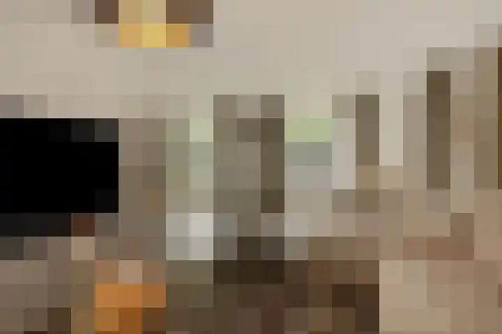 Pijlkruid 7 Berlicum thumbnail 15