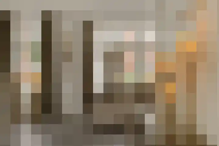 Pijlkruid 7 Berlicum thumbnail 17