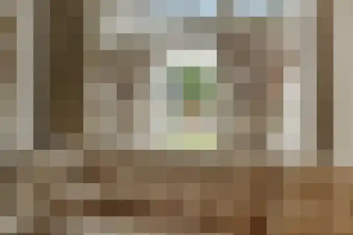 Pijlkruid 7 Berlicum thumbnail 18