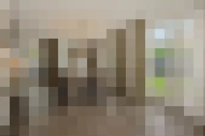 Pijlkruid 7 Berlicum thumbnail 19