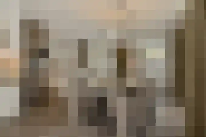 Pijlkruid 7 Berlicum thumbnail 20