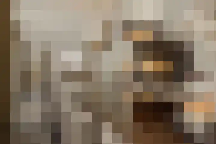 Pijlkruid 7 Berlicum thumbnail 23