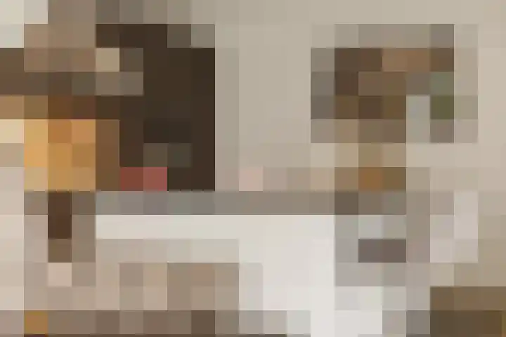Pijlkruid 7 Berlicum thumbnail 25