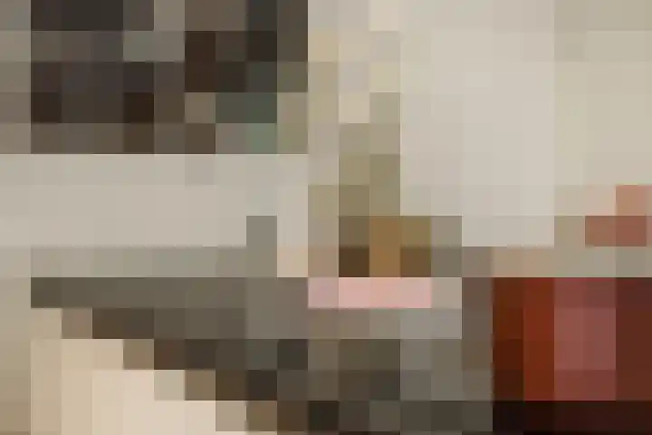 Pijlkruid 7 Berlicum thumbnail 27