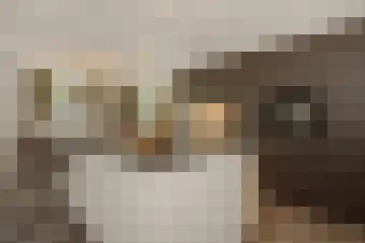 Pijlkruid 7 Berlicum thumbnail 28