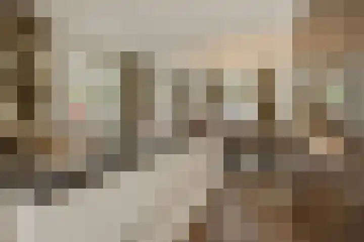 Pijlkruid 7 Berlicum thumbnail 29