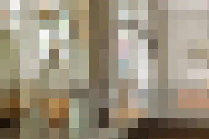 Pijlkruid 7 Berlicum thumbnail 30
