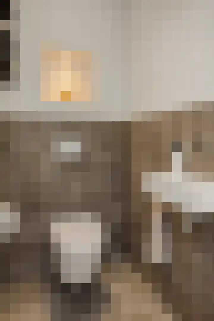 Pijlkruid 7 Berlicum thumbnail 31