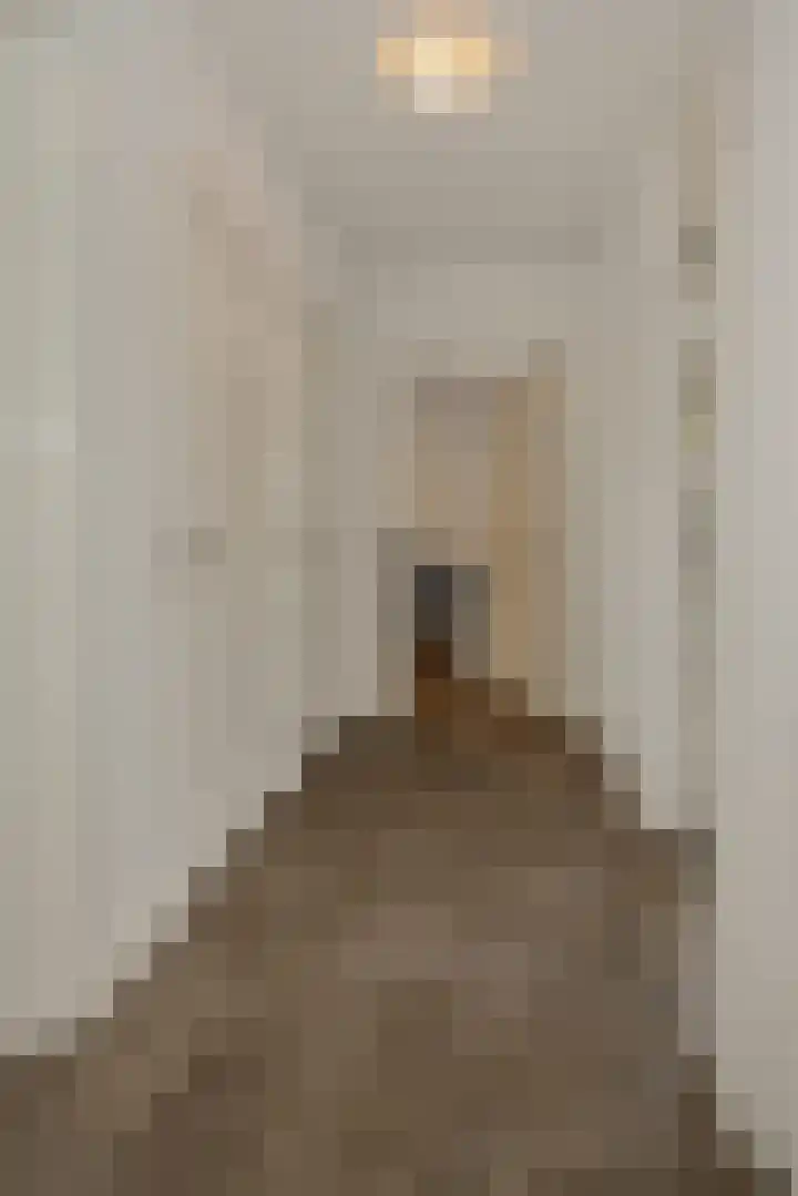 Pijlkruid 7 Berlicum thumbnail 32