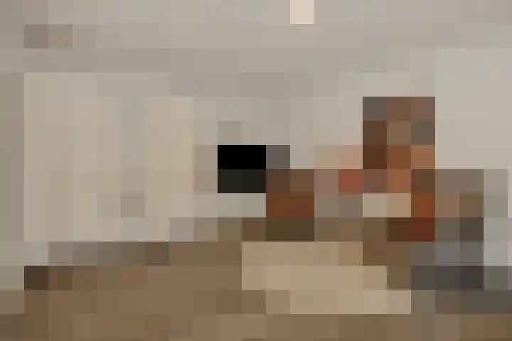 Pijlkruid 7 Berlicum thumbnail 35
