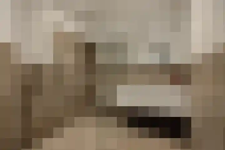 Pijlkruid 7 Berlicum thumbnail 37