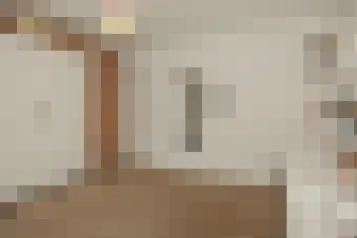 Pijlkruid 7 Berlicum thumbnail 41